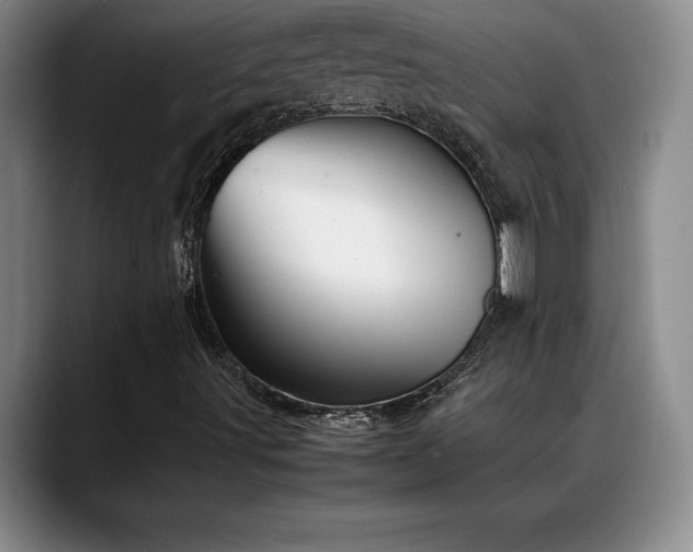 X0000088481491200705291617