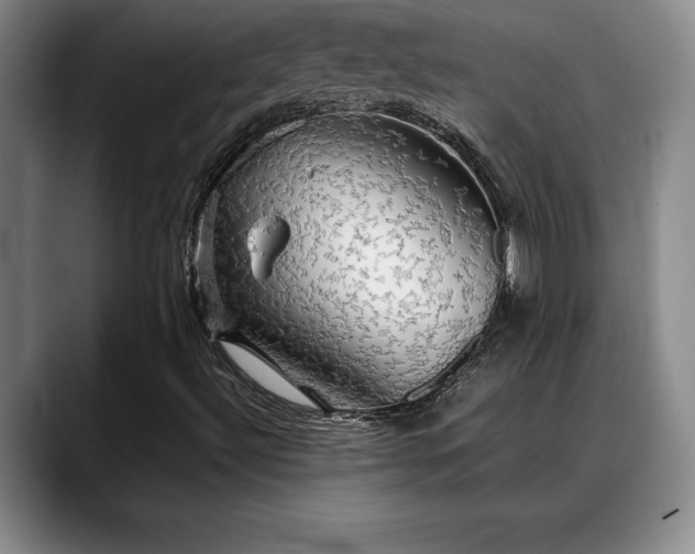 X0000088481492200705291617