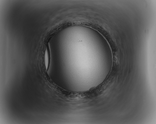 X0000088481493200705291617
