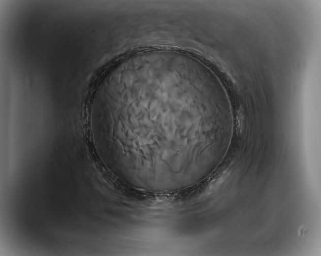 X0000088481494200705291617