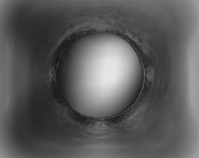 X0000088481495200705291617