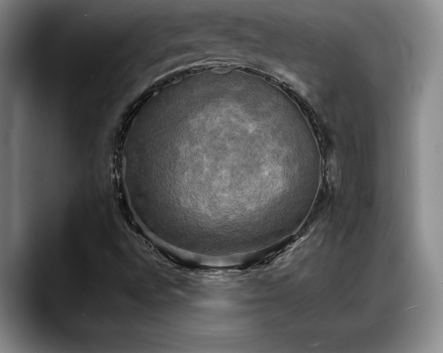 X0000088481496200705291617