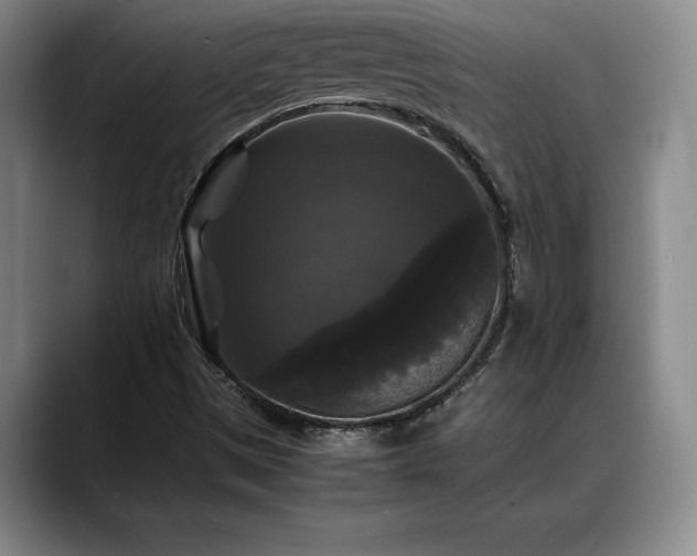 X0000088481497200705291617