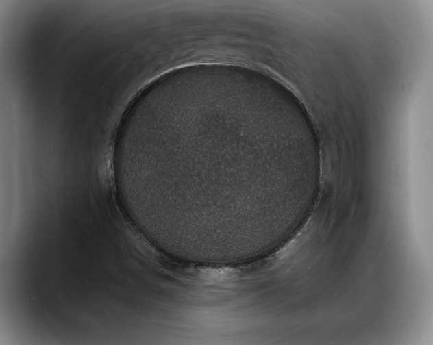 X0000088481498200705291617