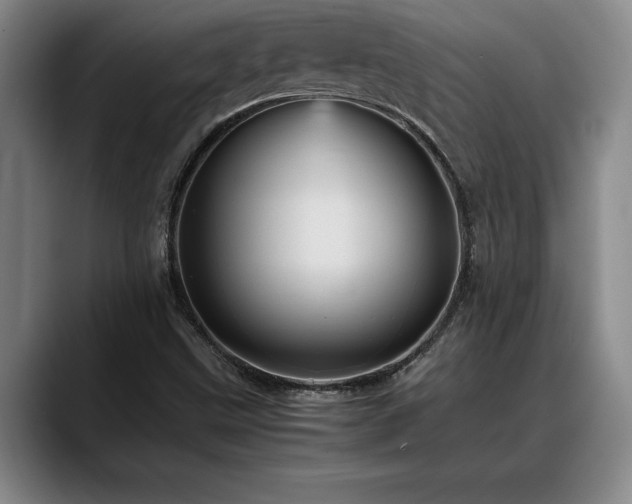 X0000088481499200705291617