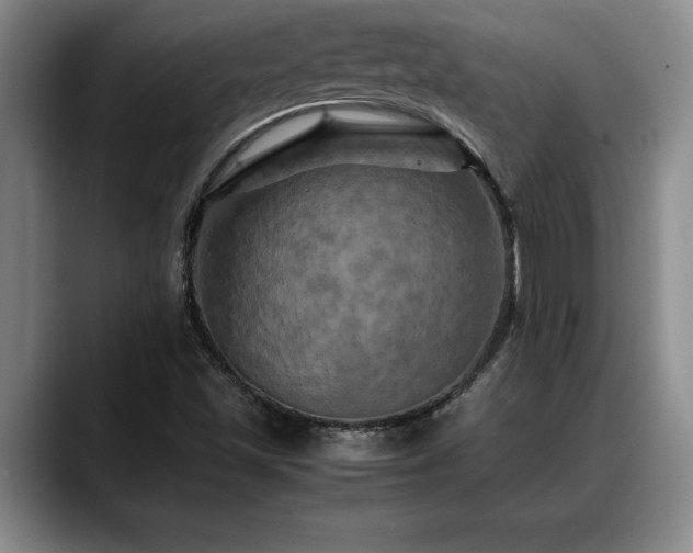 X0000088481501200705291617