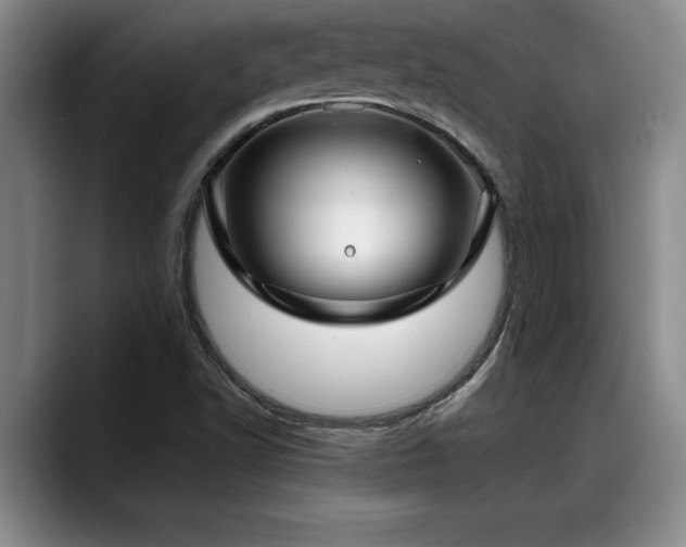 X0000088481502200705291617