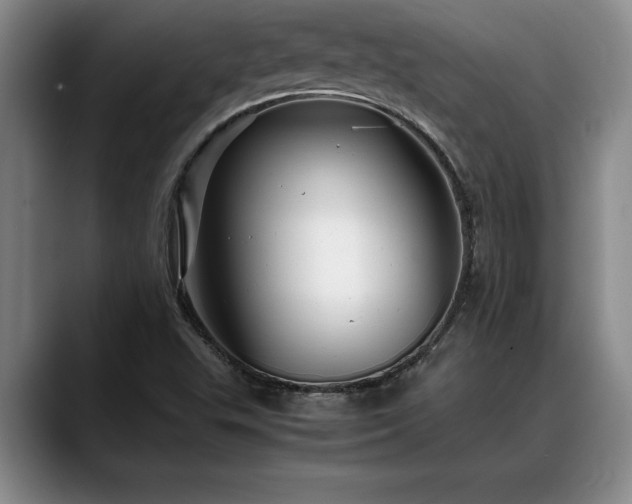 X0000088481503200705291617