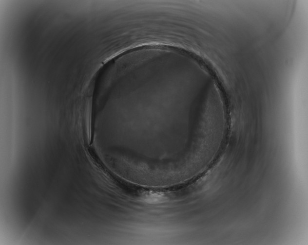 X0000088481505200705291617