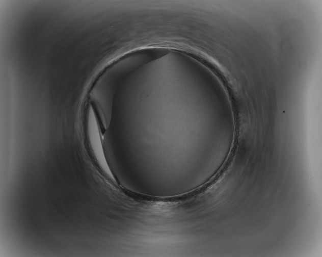 X0000088481506200705291617
