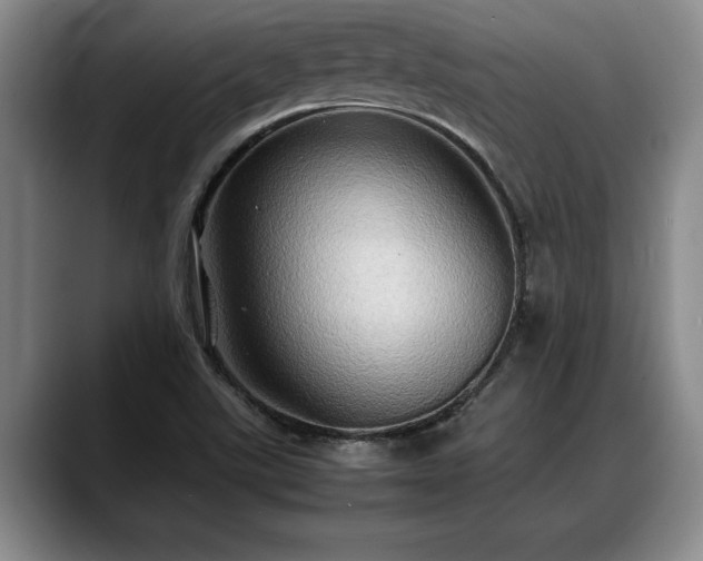X0000088481507200705291617