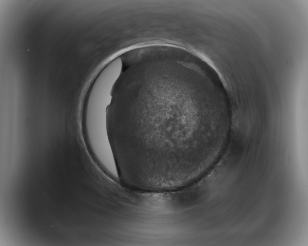 X0000088481508200705291617
