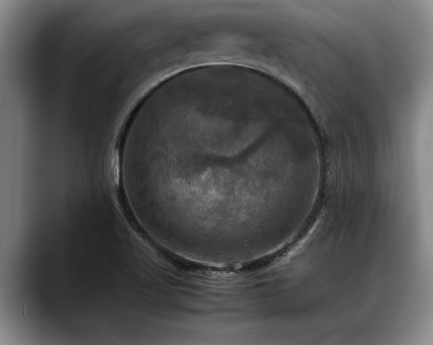 X0000088481509200705291617