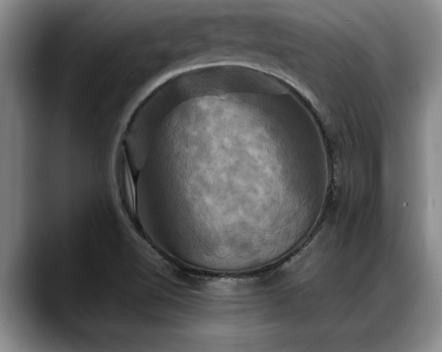 X0000088481510200705291617