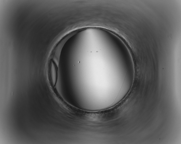 X0000088481511200705291617