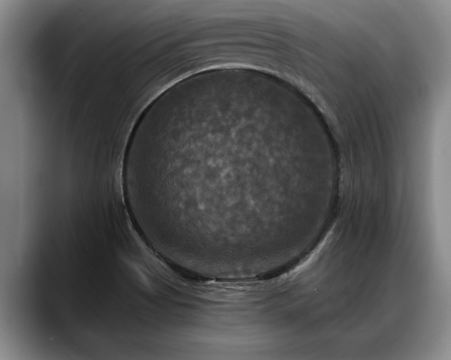 X0000088481513200705291617