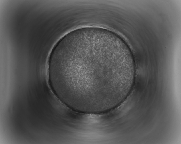 X0000088481514200705291617