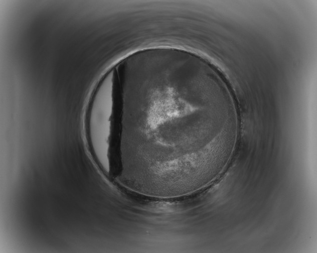 X0000088481517200705291617