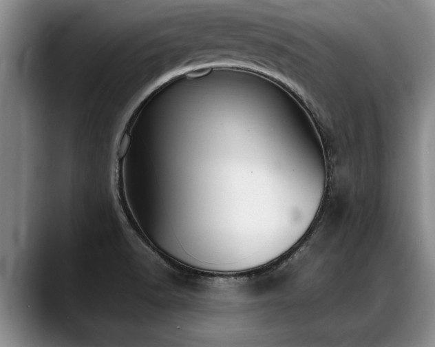 X0000088481518200705291617