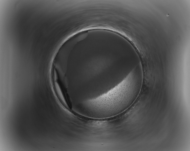 X0000088481519200705291617