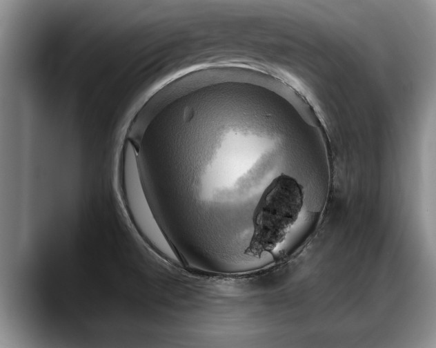 X0000088481520200705291617