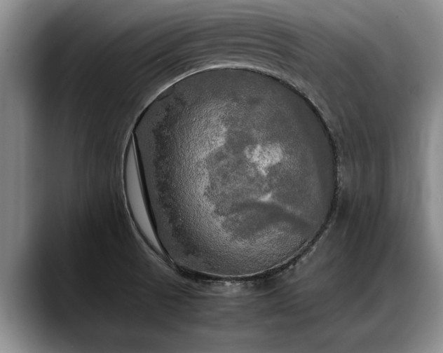X0000088481521200705291617