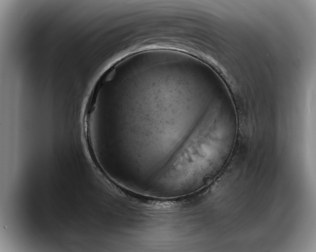 X0000088481522200705291617