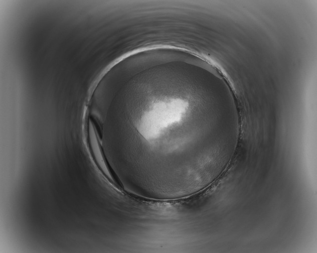 X0000088481524200705291617