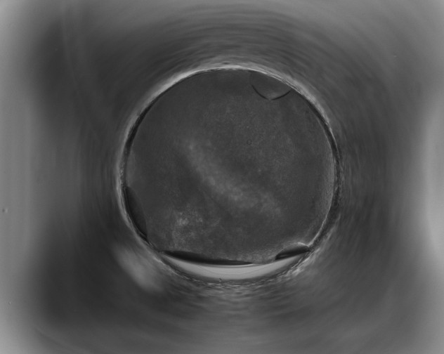 X0000088481525200705291617