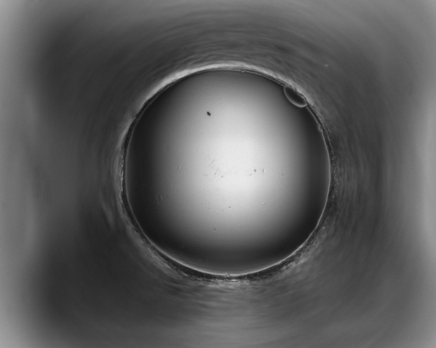 X0000088481526200705291617