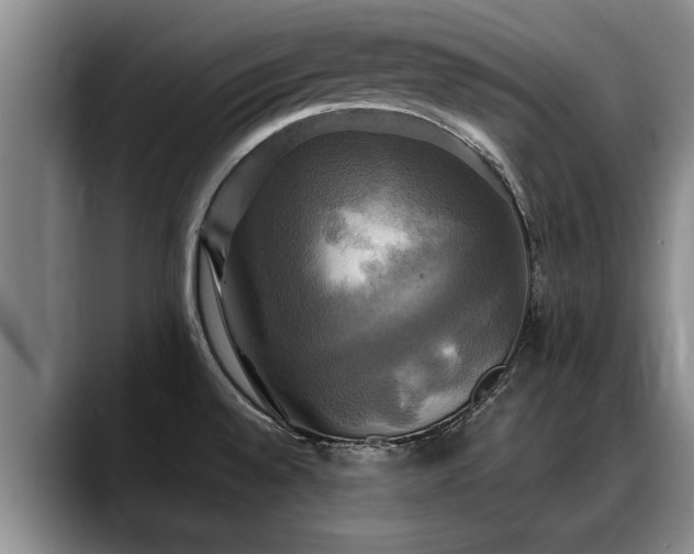 X0000088481528200705291617