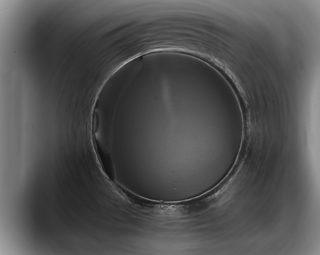 X0000088481529200705291617