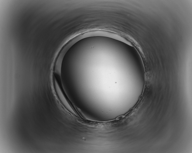 X0000088481530200705291617