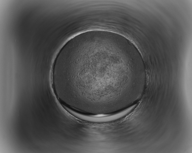 X0000088481531200705291617