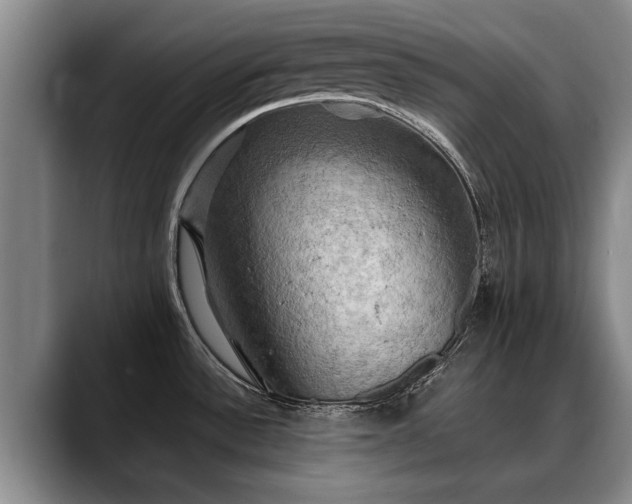 X0000088481532200705291617