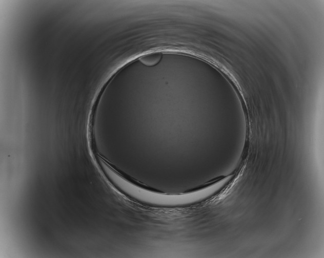 X0000088481533200705291617
