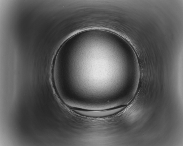 X0000088481534200705291617
