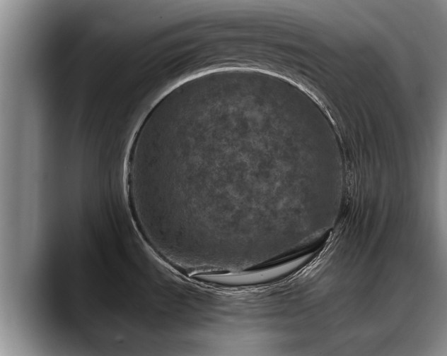 X0000088481535200705291617