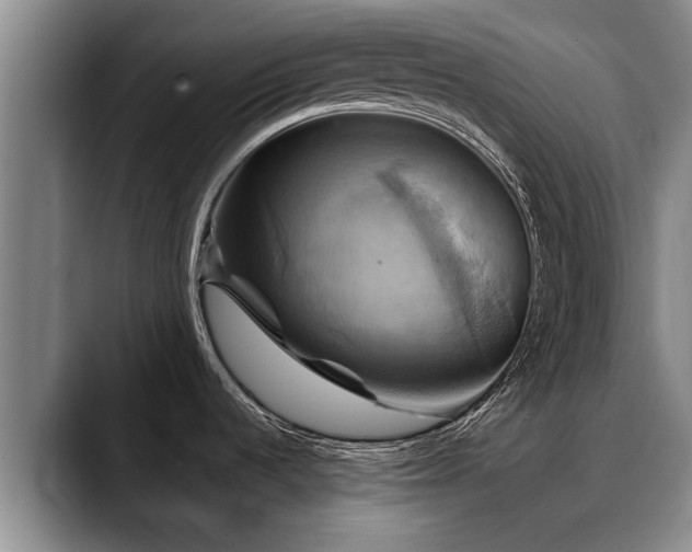 X0000088481536200705291617
