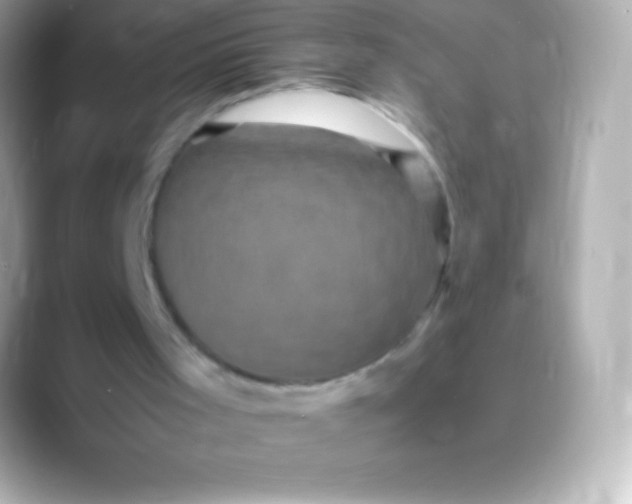 X0000088480001200706051409