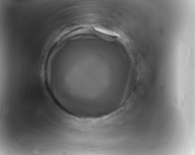X0000088480002200706051408