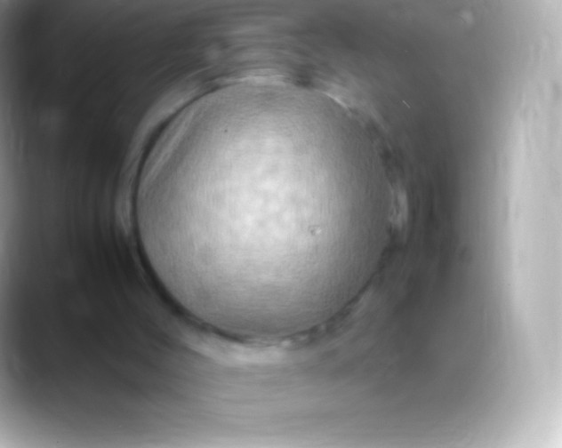 X0000088480004200706051408