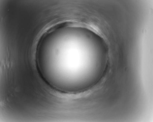 X0000088480007200706051408