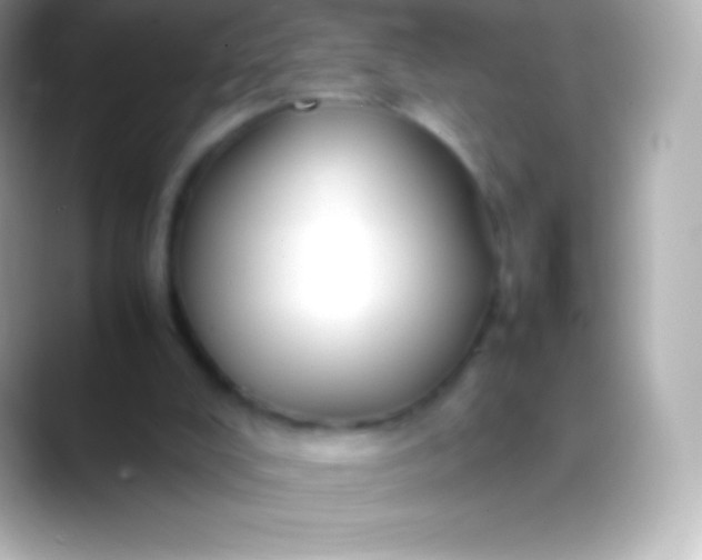X0000088480008200706051408