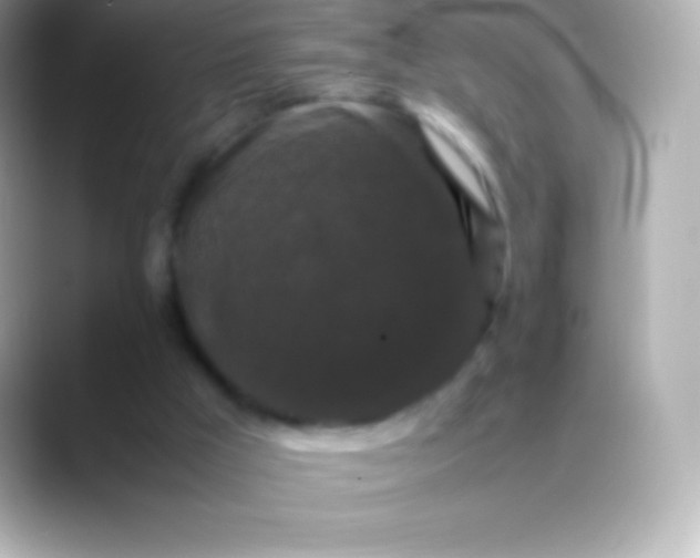 X0000088480009200706051408