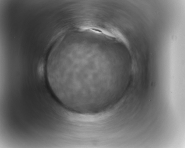 X0000088480010200706051408