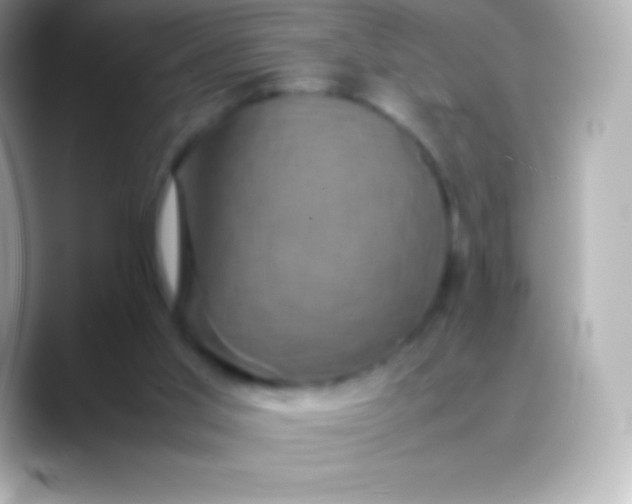 X0000088480013200706051408