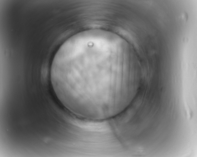 X0000088480016200706051408