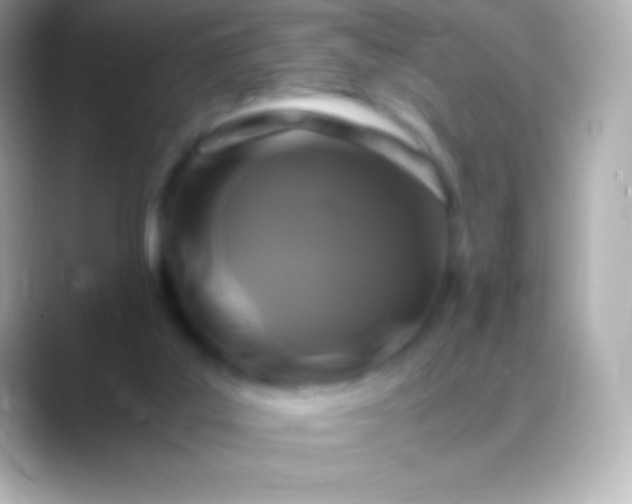 X0000088480019200706051408