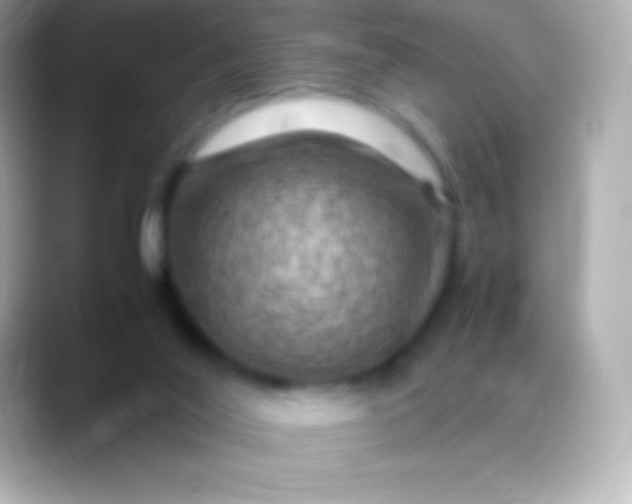 X0000088480020200706051408